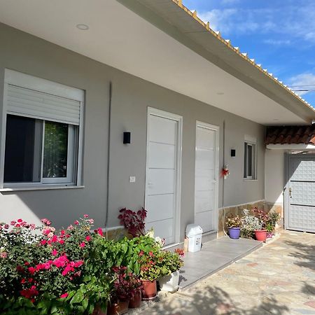 Guest House Luli Strumi Μπεράτ Εξωτερικό φωτογραφία